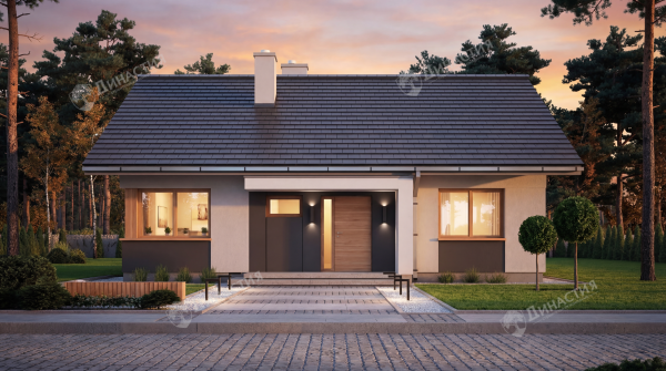 Дом из камня D-703